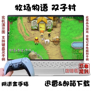PC电脑单机游戏下载 双子村 3DS牧场物语