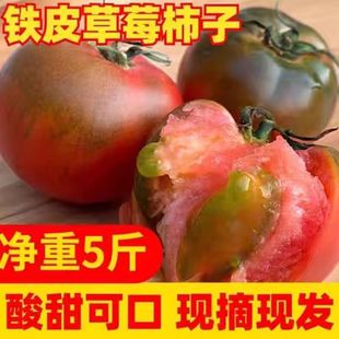 顺丰 包邮 自然成熟草莓西红柿孕妇宝宝酸甜自家种生吃现摘水果番茄