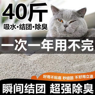 10公斤除臭猫沙膨润土低尘猫砂20斤10kg猫咪用品 包邮 柠檬小米猫砂