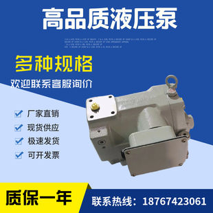 油泵转子泵RP08A1 30日本转子液压油泵