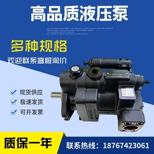 R；P16 台湾柱塞泵油泵液压泵P16 01；P16