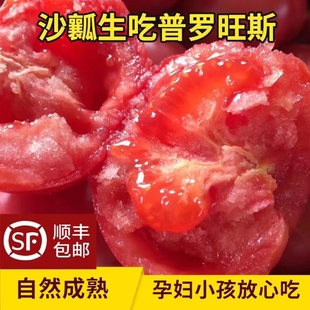 沙瓤自然熟西红柿新鲜生吃蔬菜 陕西泾阳普罗旺斯番茄孕妇水果当季
