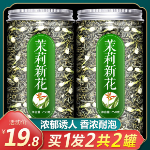 茉莉花茶2022茶叶龙珠养茶毛尖生绿茶香型奶浓茶店专用新特级飘雪