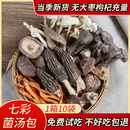云南七彩菌汤包松茸菌羊肚菌干货炖鸡煲汤菌菇汤料包新货食材特产
